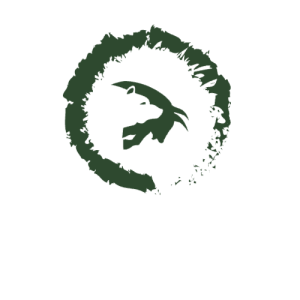 logo-transparent EpiTraders